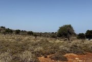 Kokkino Chorio Kreta, Kokkino Chorio: Spektakuläres 80.000 m² großes Grundstück mit Meerblick auf Kreta zum Verkauf Grundstück kaufen